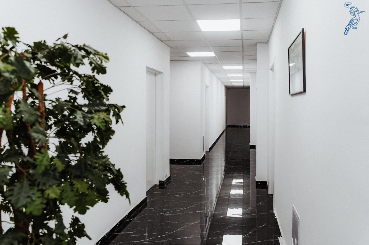 Dudok House Apart otel Žilina Dış mekan fotoğraf